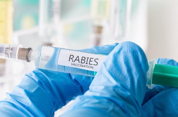 ilustrasi vaksin rabies